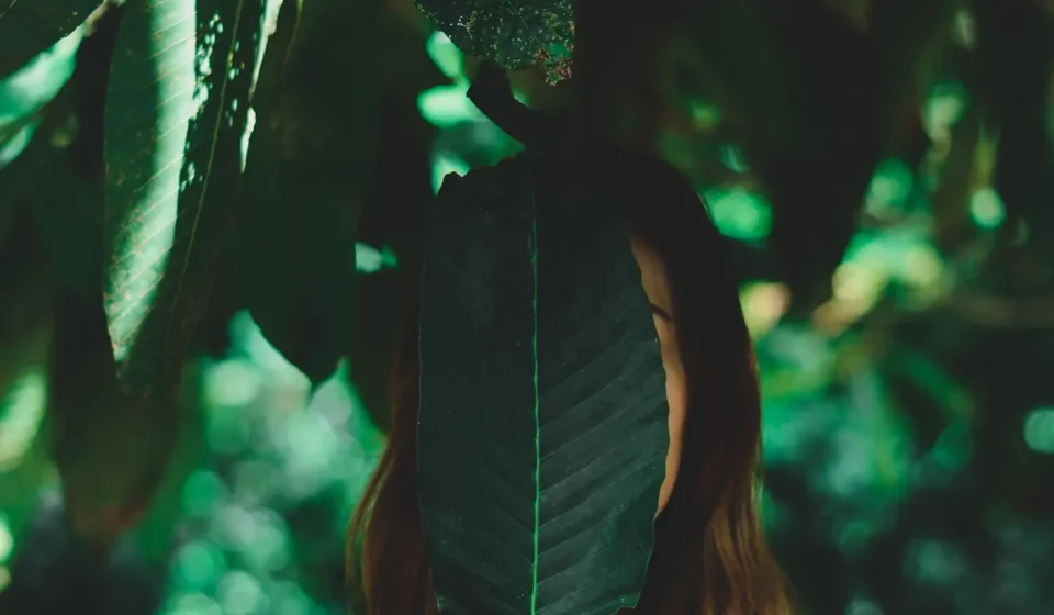 The Most Influential Art Movements of the 21st Century and Their Lasting Legacy